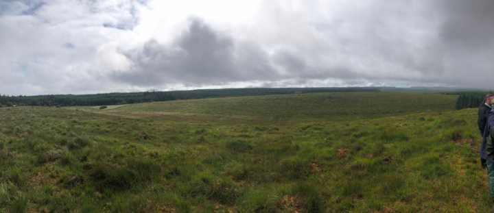 The commonage site in the Slieve Aughty area is being managed for Hen Harriers