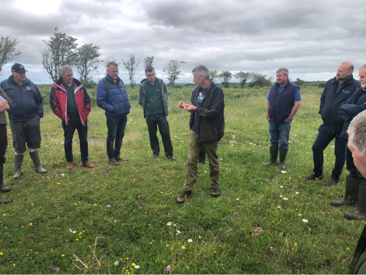 Brendan Dunford talking to farmers about the plant species found in the Burren area