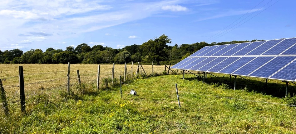 Solar panel field on farm